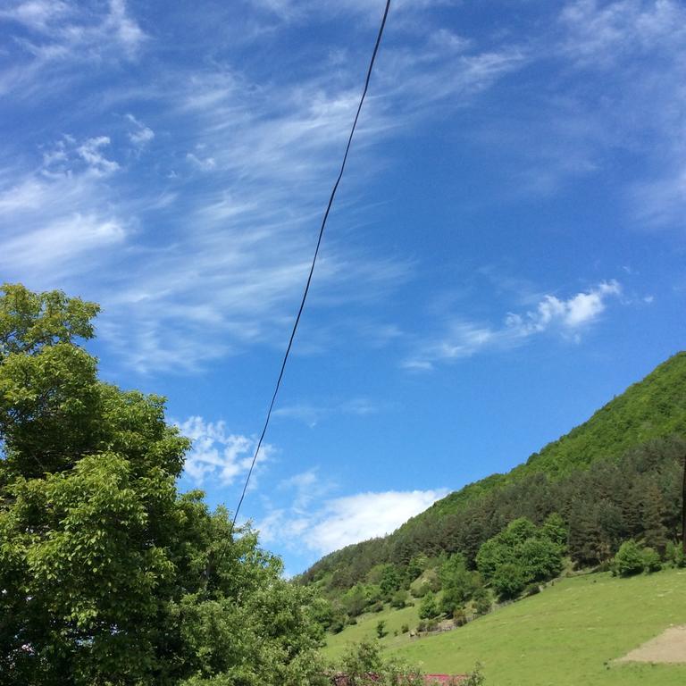Guest House Chuta In Lagami Mestia Exterior photo