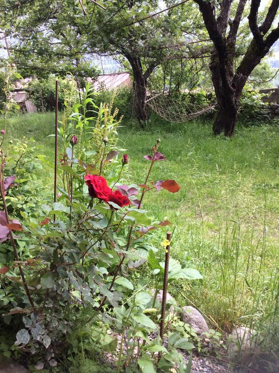 Guest House Chuta In Lagami Mestia Exterior photo